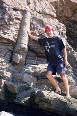 Howard Falcon-Lang with giant clubmoss tree at Joggins, Nova Scotia. It was inside a similar fossil tree that Lyell and Dawson famous found Carboniferous amphibians and, later, reptiles in the mid Nineteenth Century.